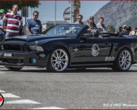 TSR Watermark - 0629